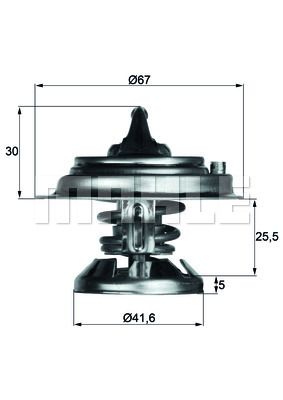 WILMINK GROUP Termostats, Dzesēšanas šķidrums WG1262731